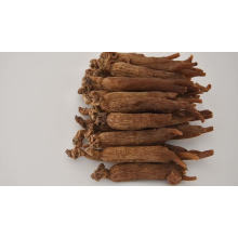 Best quality Health Functional Foods Changbaishan 6 years old Honeyed Korean Red Ginseng Root